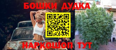 прущие крисы Уссурийск