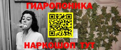 прущие крисы Усть-Джегута
