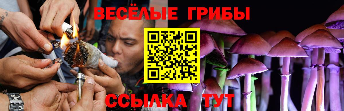 Алексин  Псилоцибиновые грибы Magic Shrooms  Галлюциногенные грибы Psilocybe  Вход с VPN 